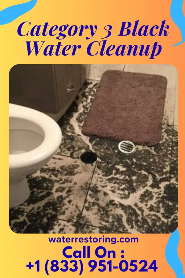 Category 3 Black Water Cleanup in Broadview Park, FL