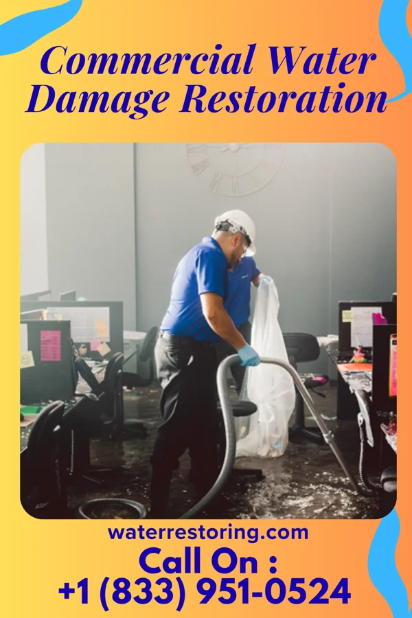 Commercial Water Damage Restoration in Broadview Park, FL
